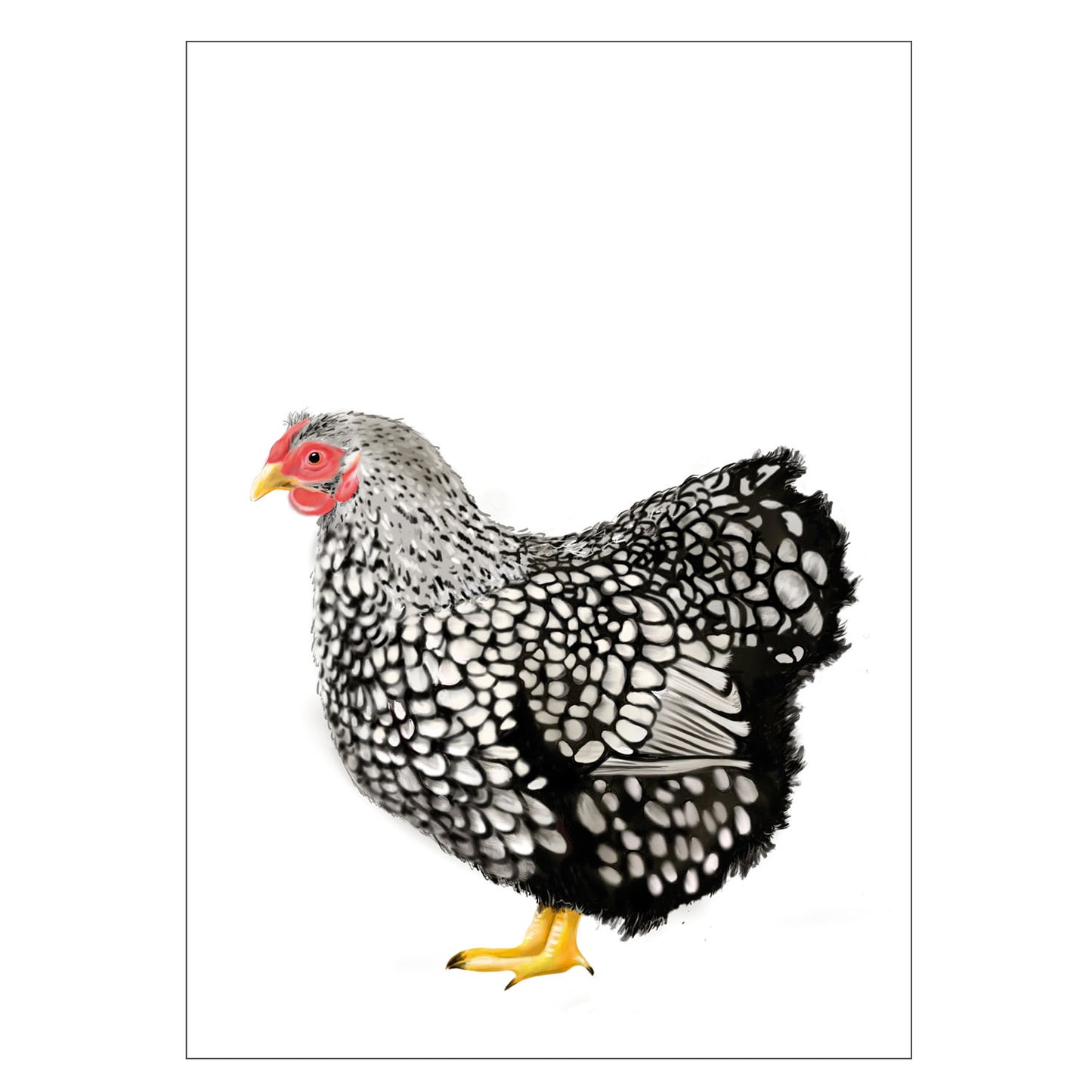 |weiss |Grusskarte Henne |Karte Huhn |schwarzweiss