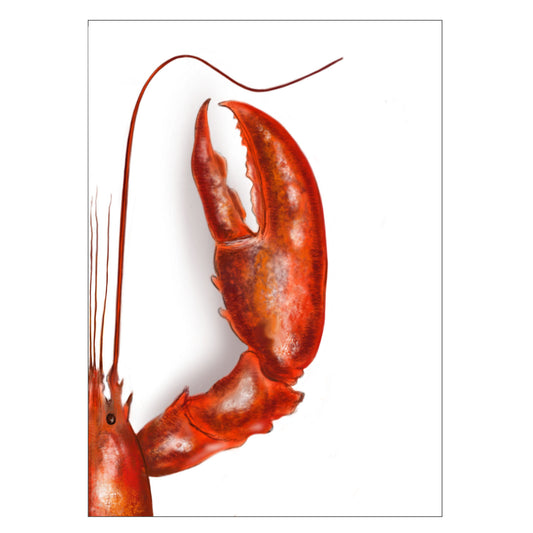 |weiss |Grusskarte Hummer |Karte Hummerzange |rot |Meerestier