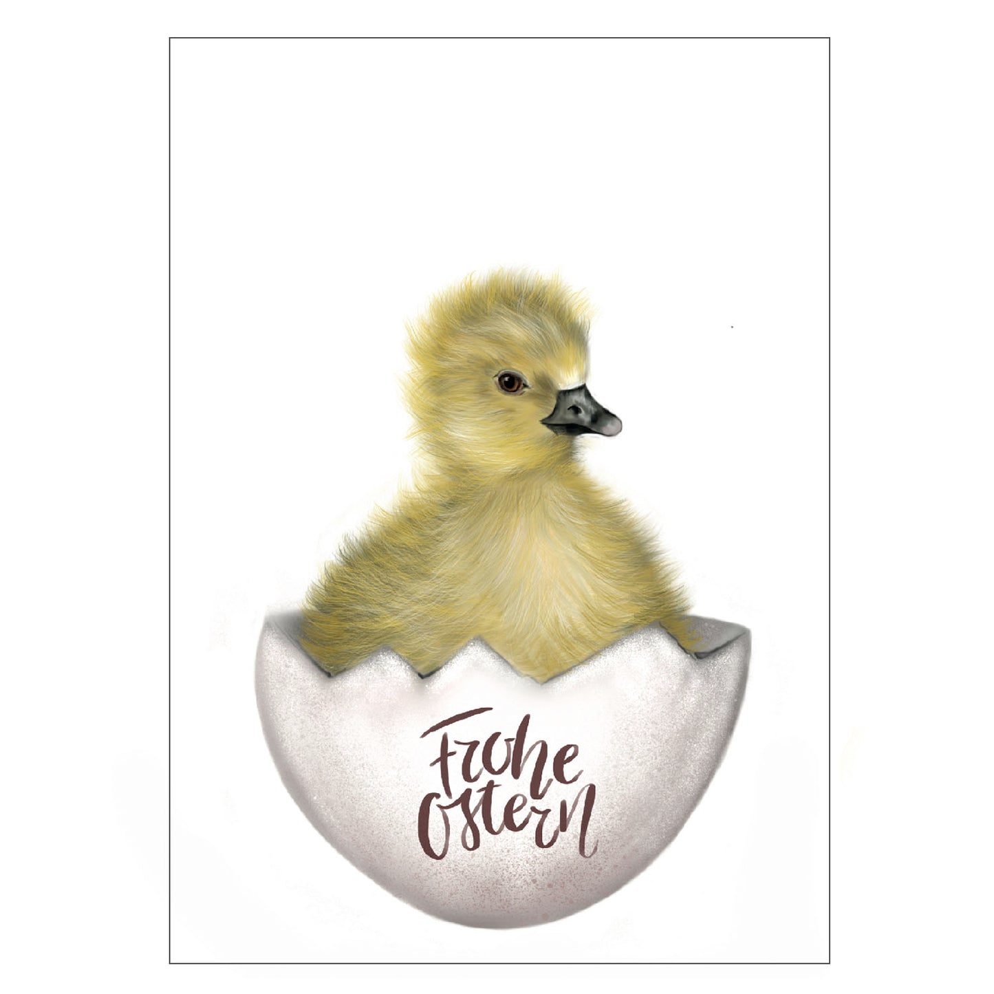 |weiss |Grusskarte Osterküken |Karte Ostern