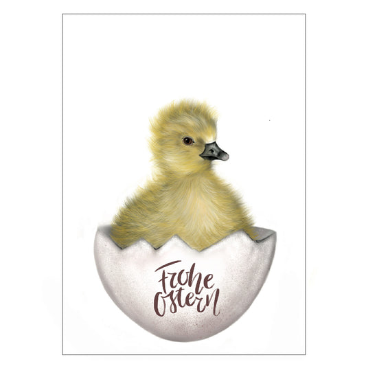 |weiss |Grusskarte Osterküken |Karte Ostern