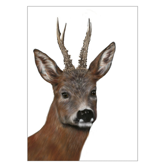 |weiss |Grusskarte Rehbock |Karte Jagdmotiv