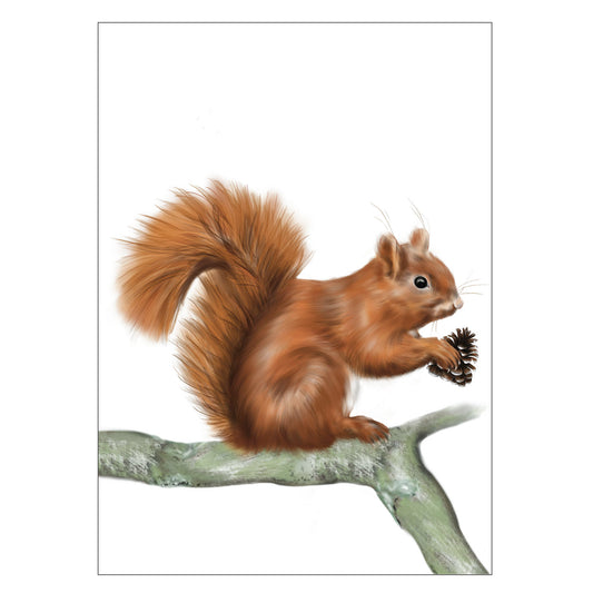 |weiss |Grußkarte Eichhörnchen |Karte Ast