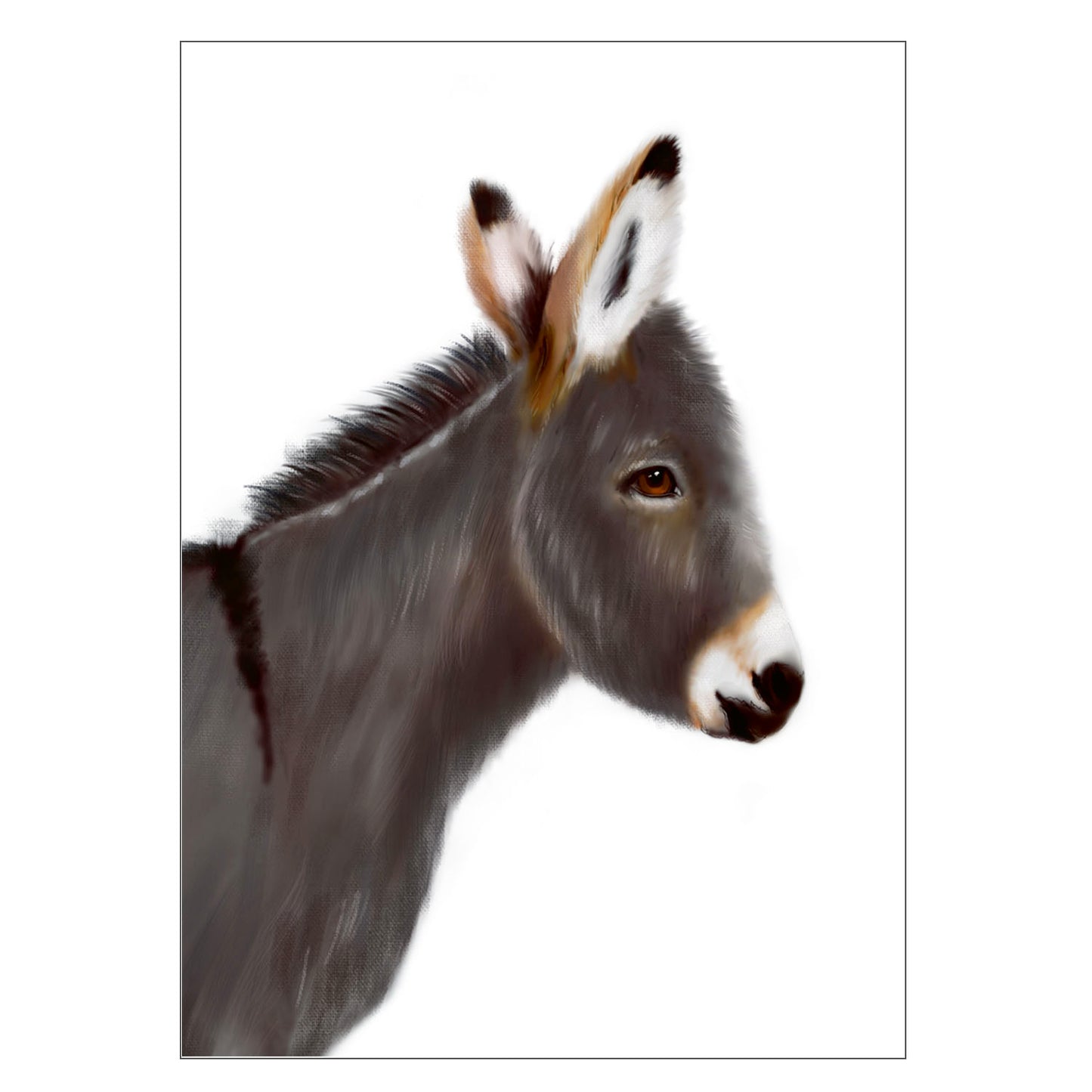 |weiss |Grusskarte Esel |Karte |grau