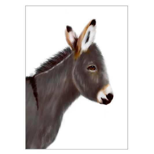 |weiss |Grusskarte Esel |Karte |grau