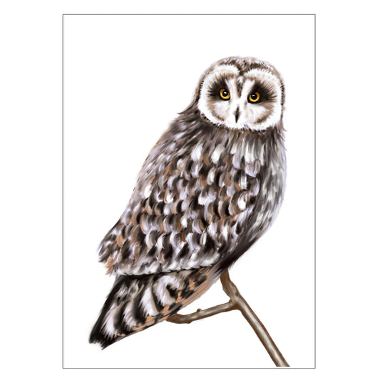 |weiss |Grusskarte Eule |Karte Vogel |Waldvogel
