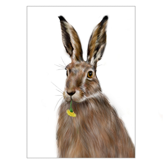 |weiss |Grusskarte Feldhase |Löwenzahn |Karte Hase 
