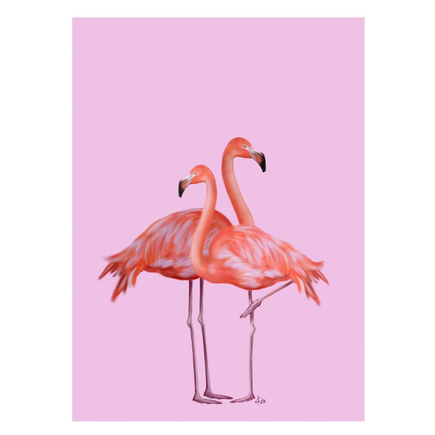 |pink |Grusskarte Flamingos |Karte Vogel