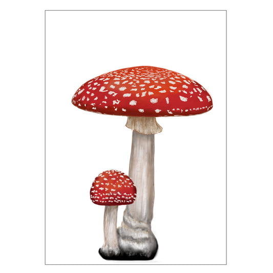 |weiss |Grusskarte Fliegenpilz |Karte Pilz |Pflanze