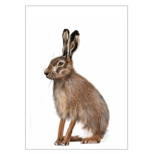 |weiss |Grusskarte Hase |Karte Wildhase |braun