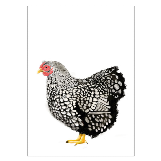 |weiss |Grusskarte Henne |Karte Huhn |schwarzweiss
