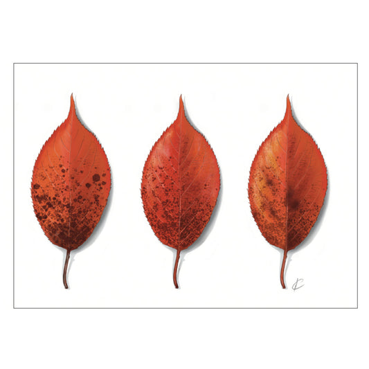 |weiss |Grusskarte Herbstblätter |Karte Herbst
