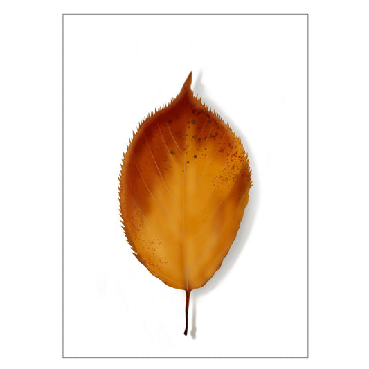 |weiss |Grusskarte Herbstblatt |Karte Blatt |gelb