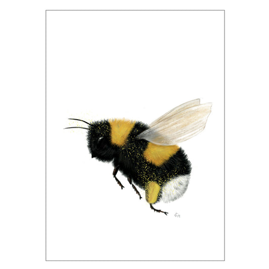 |weiss |Grusskarte Hummel| Karte Biene