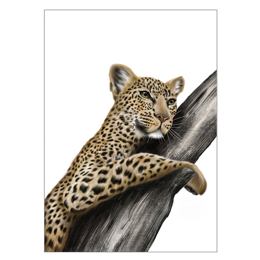 |weiss |Grusskarte Leopard |Karte Afrika