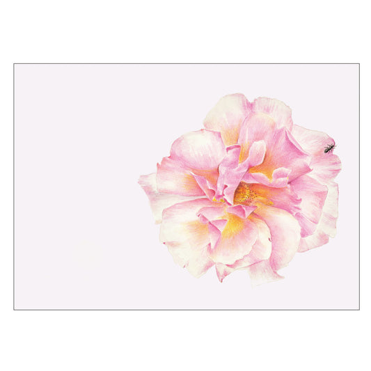 Grußkarte Rose