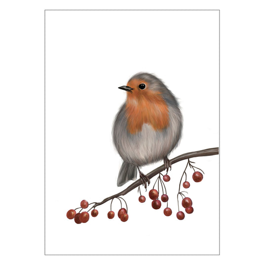 |weiss |Grusskarte Rotkehlchen |Karte Vogel