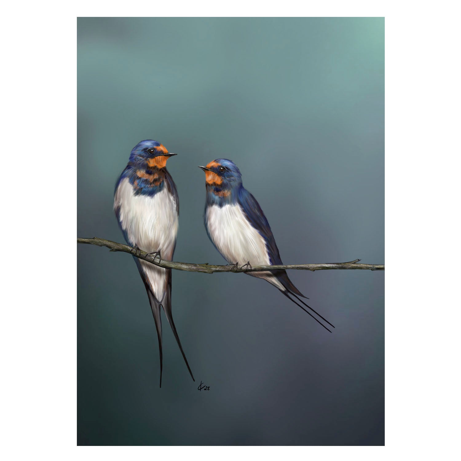 |weiss |Grusskarte Schwalben |Karte Vogel