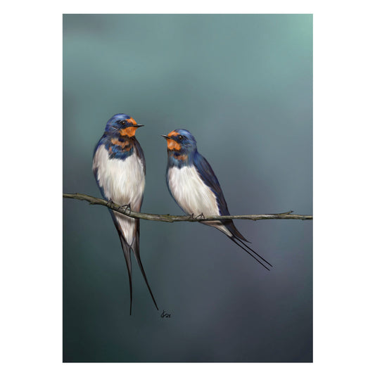 |weiss |Grusskarte Schwalben |Karte Vogel