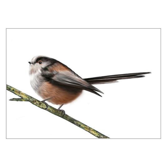 |weiss |Grusskarte Schwanzmeise |Karte Vogel