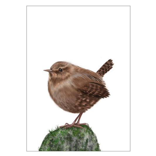 |weiss |Grusskarte Zaunkönig |Karte Vogel