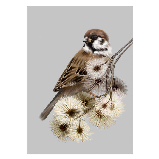 Grußkarte Spatz