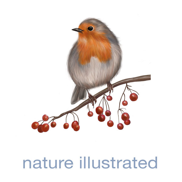 natureillustrated