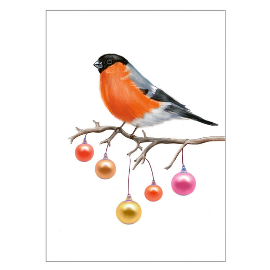 |weiss | Weihnachtskarte Gimpel | Karte Vogel