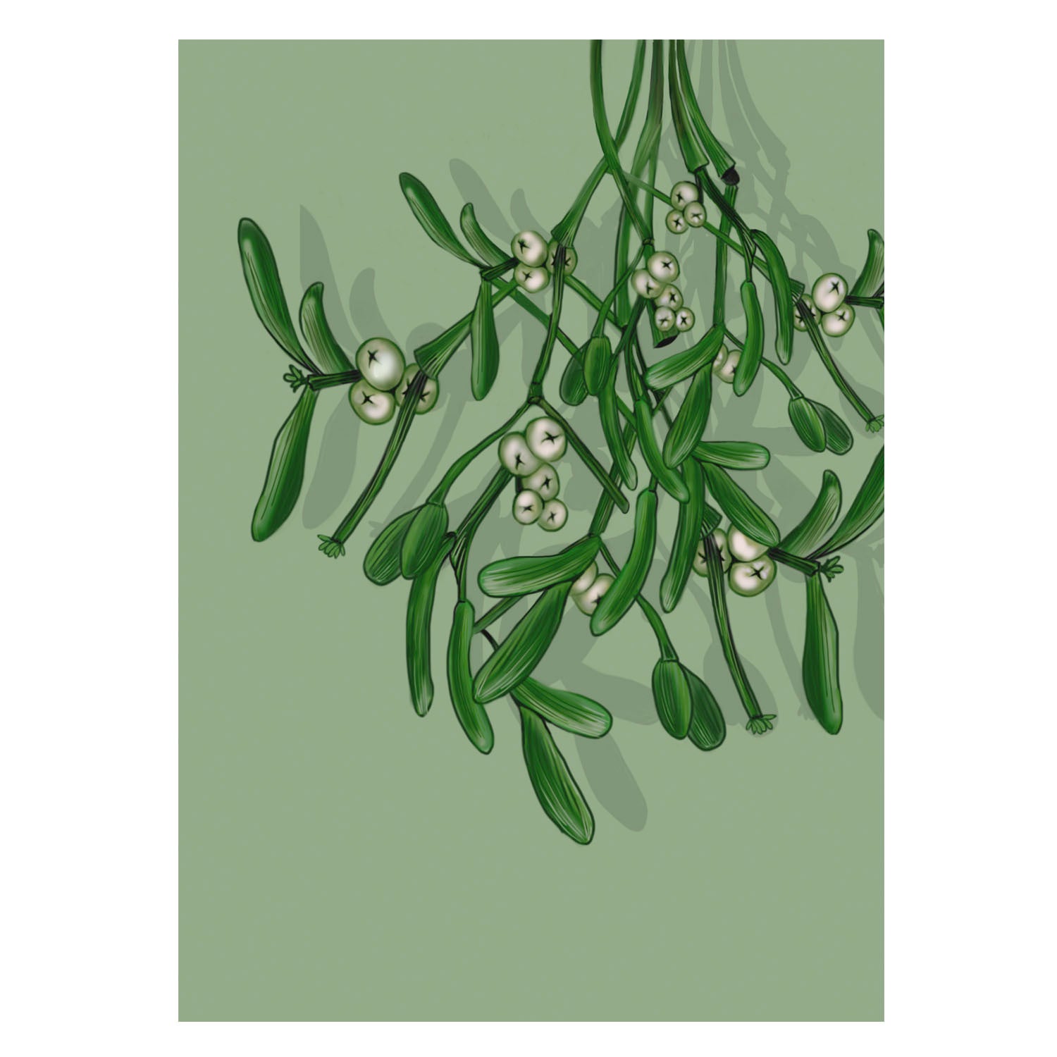 |grün |Weihnachtskarte Mispelzweig