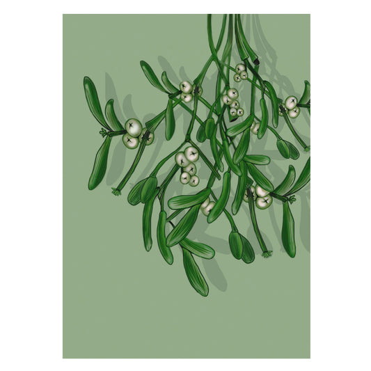 |grün |Weihnachtskarte Mispelzweig