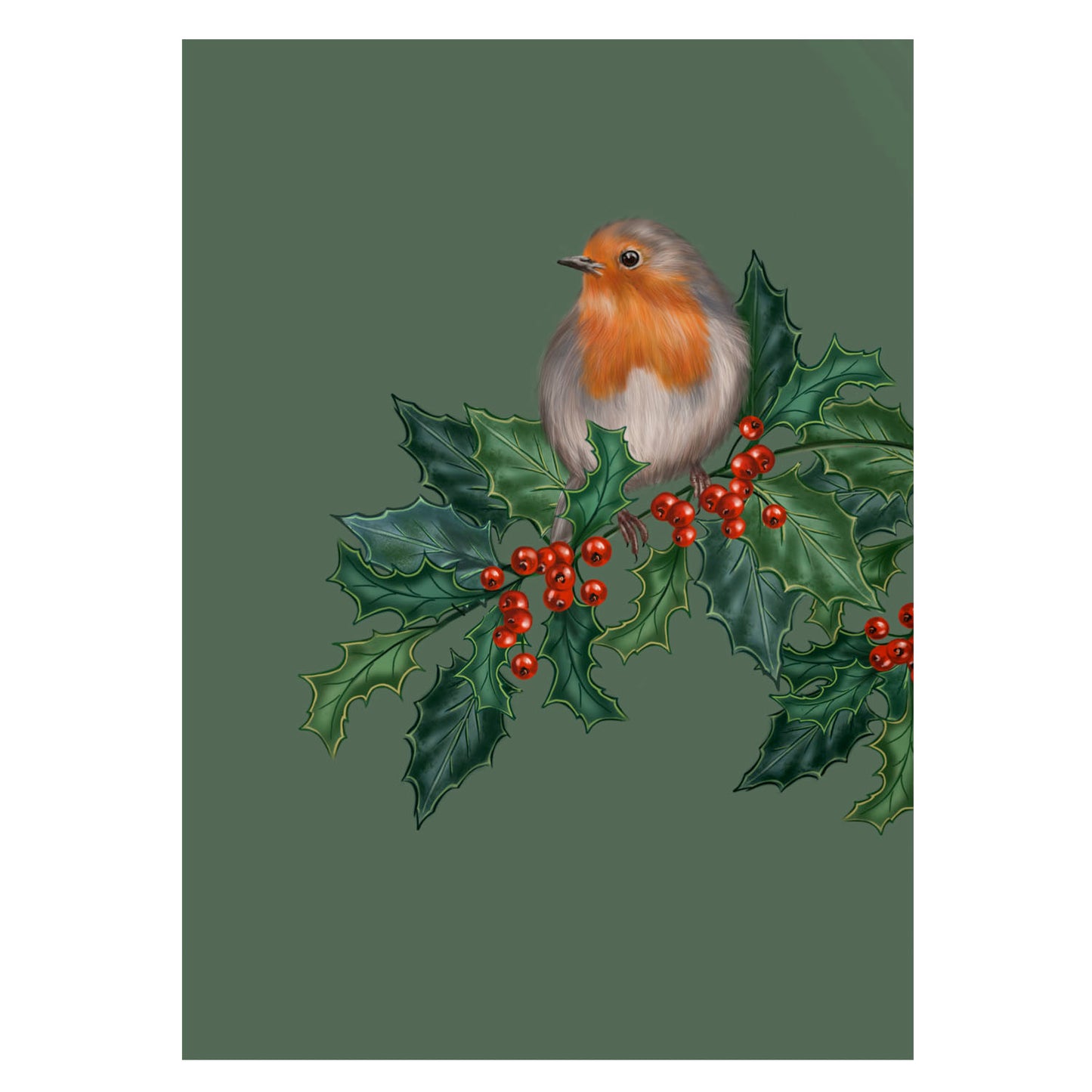|grün |Weihnachtskarte Rotkelchen in Stechpalme