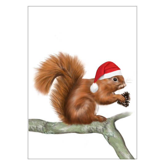 |weiss |Weihnachtskarte Weihnachts Hörnchen |Karte Eichhörnchen
